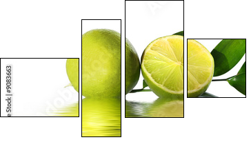 green lime  - Obraz czteroczęściowy, Fortyk
