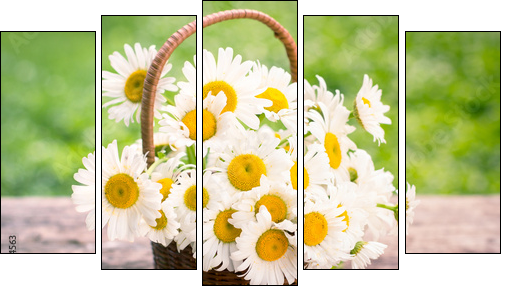 Spring flowers - Daisy flowers in the basket - Obraz pięcioczęściowy, Pentaptyk