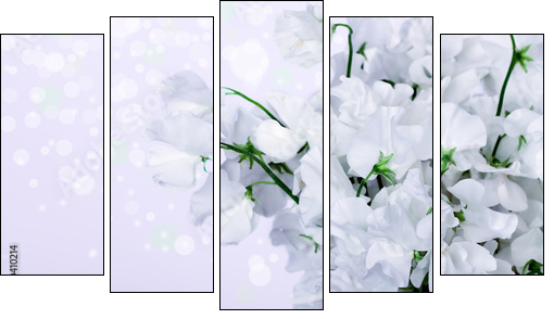Beautiful Lily Flowers Border - Obraz pięcioczęściowy, Pentaptyk