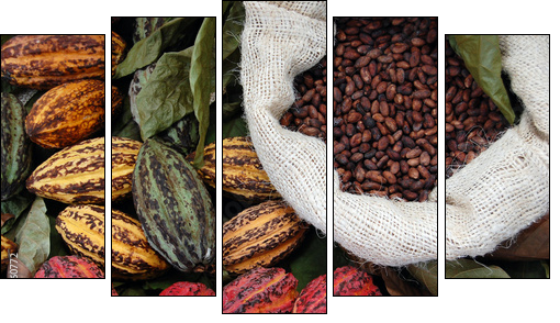 Ziarna kakaowca
 - Obraz pięcioczęściowy, Pentaptyk