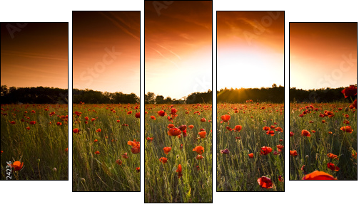 Makowe pole – łąka o zachodzie słońca
 - Obraz pięcioczęściowy, Pentaptyk
