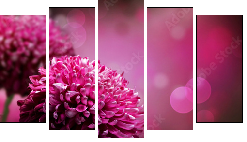 Dahlia Autumn flower design. With copy-space  - Obraz pięcioczęściowy, Pentaptyk