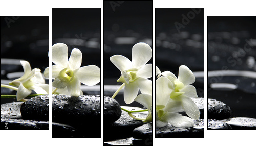 Zen stones and white orchids with reflection  - Obraz pięcioczęściowy, Pentaptyk