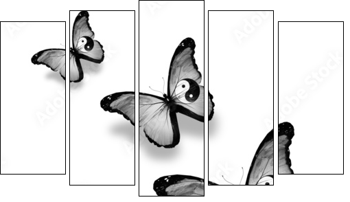 Three dao flag butterflies, isolated on white  - Obraz pięcioczęściowy, Pentaptyk
