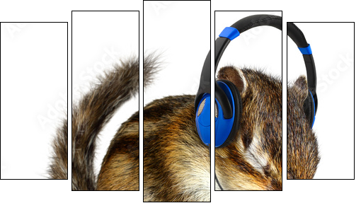Funny chipmunk listening to music on headphones  - Obraz pięcioczęściowy, Pentaptyk