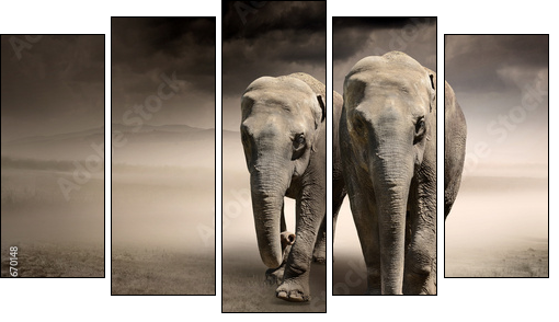 Pair of elephants in motion  - Obraz pięcioczęściowy, Pentaptyk
