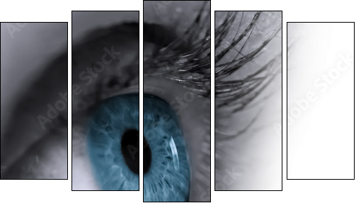 Auge im Wasser gespiegelt  - Obraz pięcioczęściowy, Pentaptyk