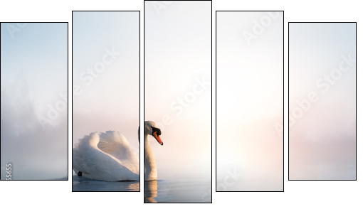 Art Swan floating on the water at sunrise of the day  - Obraz pięcioczęściowy, Pentaptyk