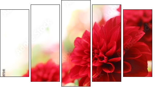 red dahlia flower  - Obraz pięcioczęściowy, Pentaptyk