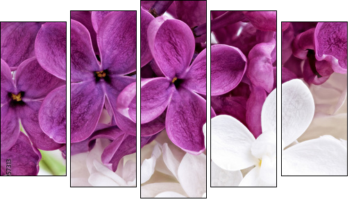 Beautiful Bunch of violet and white Lilac  - Obraz pięcioczęściowy, Pentaptyk