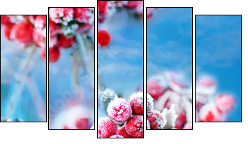 Frozen rowan berries  - Obraz pięcioczęściowy, Pentaptyk