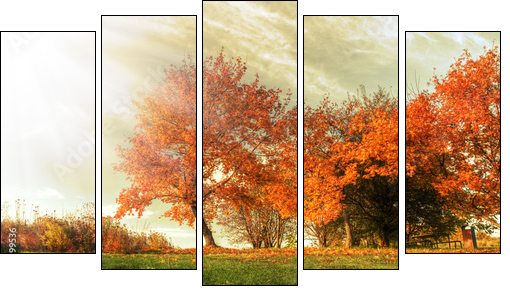 Autumn landscape  - Obraz pięcioczęściowy, Pentaptyk