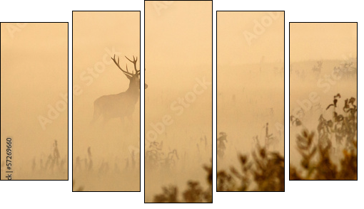 Red deer with big antlers stands on meadow on foggy morning  - Obraz pięcioczęściowy, Pentaptyk