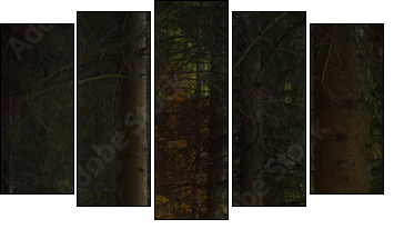 Enchanted nature series - Mushrooms path  - Obraz pięcioczęściowy, Pentaptyk