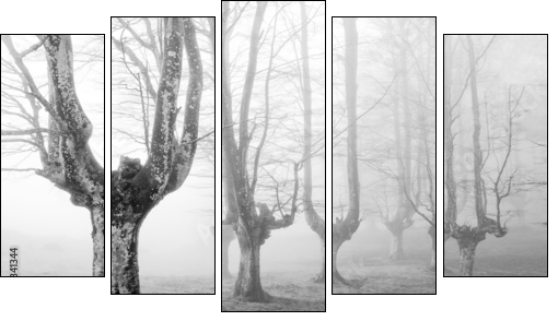 creepy forest with scary trees  - Obraz pięcioczęściowy, Pentaptyk