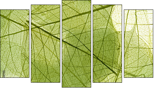 leaves background  - Obraz pięcioczęściowy, Pentaptyk