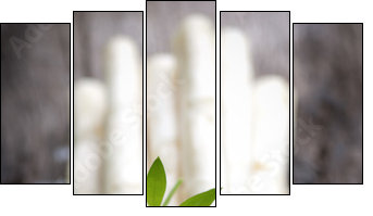 Zdrowotna biel: szparagi - Obraz pięcioczęściowy, Pentaptyk