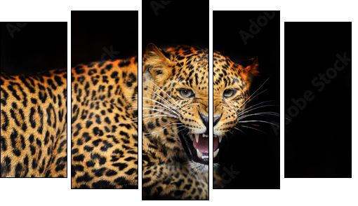 Portrait of leopard in its natural habitat  - Obraz pięcioczęściowy, Pentaptyk
