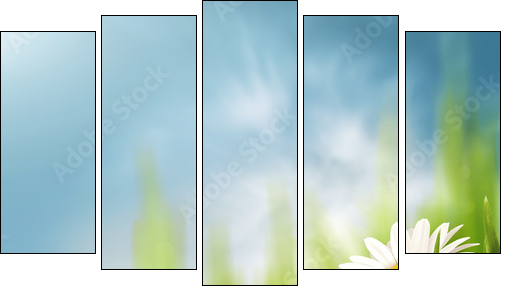 Daisy flowers on the meadow, seasonal backgrounds for your desi  - Obraz pięcioczęściowy, Pentaptyk