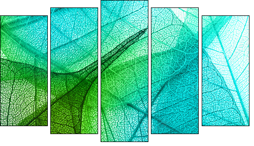 Macro leaves background texture  - Obraz pięcioczęściowy, Pentaptyk