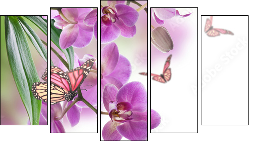 Floral background of tropical orchids and  butterfly - Obraz pięcioczęściowy, Pentaptyk