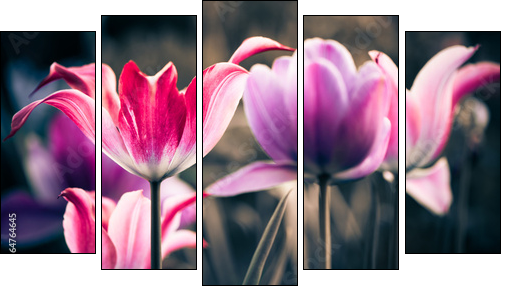 fresh spring garden flowers  - Obraz pięcioczęściowy, Pentaptyk