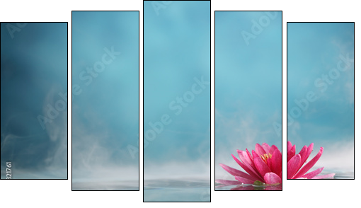 water lily - Obraz pięcioczęściowy, Pentaptyk