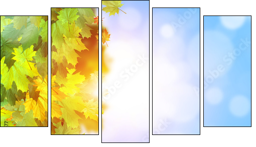 Autumn leaves  - Obraz pięcioczęściowy, Pentaptyk
