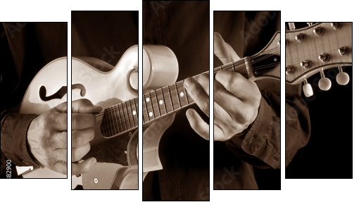 mandolin player,sepia image  - Obraz pięcioczęściowy, Pentaptyk
