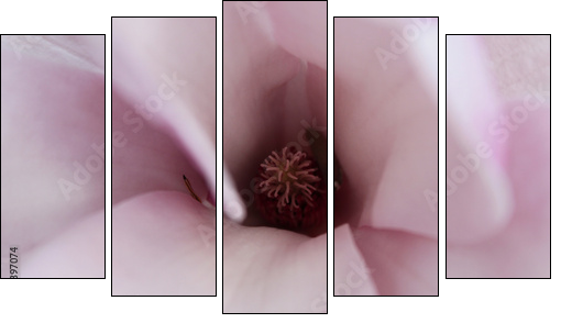 Magnolia inside  - Obraz pięcioczęściowy, Pentaptyk
