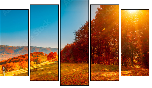 Colorful autumn landscape  - Obraz pięcioczęściowy, Pentaptyk