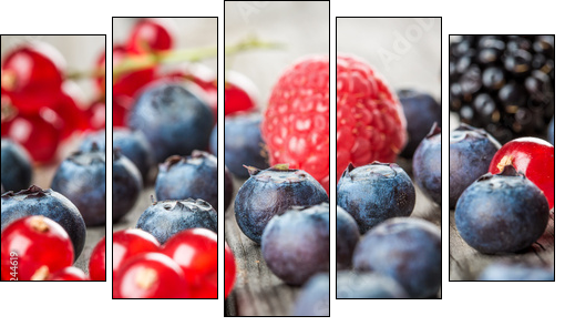 Blueberries background  - Obraz pięcioczęściowy, Pentaptyk