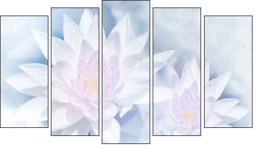 vivid color lotus in soft style for background - Obraz pięcioczęściowy, Pentaptyk