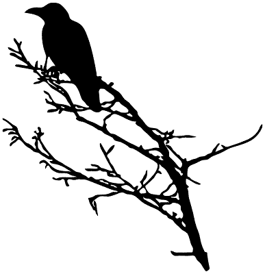 Ptak na gałęzi