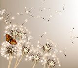 Abstract background with vector dandelions  Dmuchawce Fototapeta