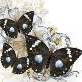Fashion vector background with butterflies  Motyle Fototapeta