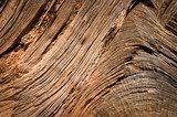 Texture de bois  Tekstury Fototapeta