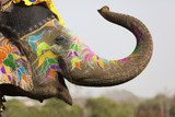 Decorated elephant at the elephant festival in Jaipur  Orientalne Fototapeta