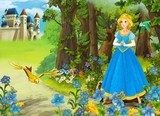 The princesses - castles - knights and fairies  Plakaty do Pokoju dziecka Plakat