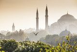 Sultanahmet Camii / Blue Mosque, Istanbul, Turkey  Architektura Obraz