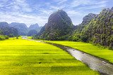 Rice field and river, NinhBinh, vietnam landscapes  Krajobraz Fototapeta