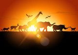 Zachód słońca w Afryce Zwierzęta Fototapeta
