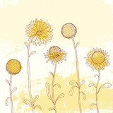 Yellow sunflower on Watercolor background.  Rysunki kwiatów Fototapeta