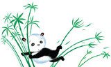 Jumping Panda on bamboo  Orientalne Fototapeta