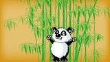 panda  Orientalne Fototapeta