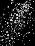 Gwiezdna polana w czerni i bieli Fototapety do Sypialni Fototapeta