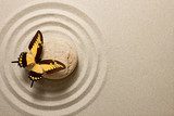 Zen stone with butterfly  Motyle Fototapeta