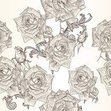 Vector seamless wallpaper pattern with rose flowers  Drawn Sketch Fototapeta