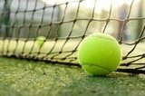 Tennis ball  Sport Plakat
