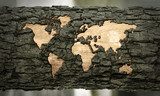 world map carved in tree bark  Mapa Świata Fototapeta